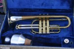 Roth Cornet, SN 48400