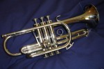 Argenta Cornets