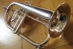 Reynolds Emperor Flugelhorn
