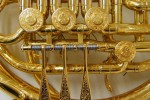 Permalink to Exposition French Horn