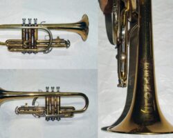 SN 10613. Photos used with permission from Juan Carlos.